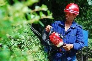 园林绿化技能培训