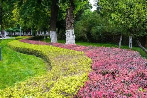 园林绿化技能培训