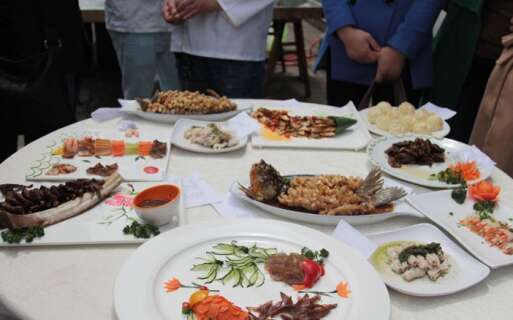 中式烹饪技能培训